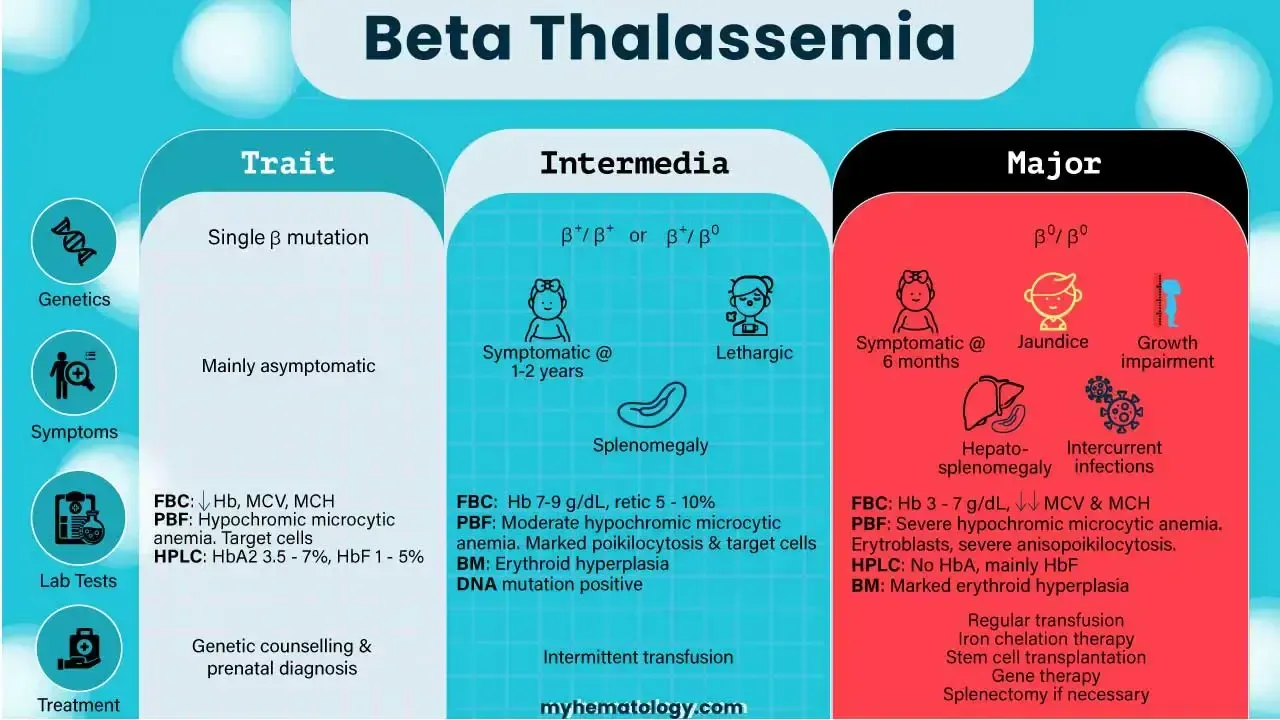 beta-thalassemia